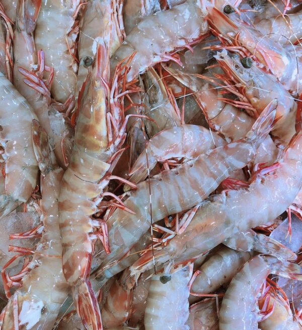 Tiger Shrimps
