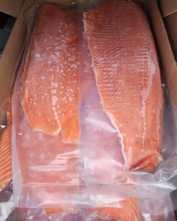 selmon fish - Image 2