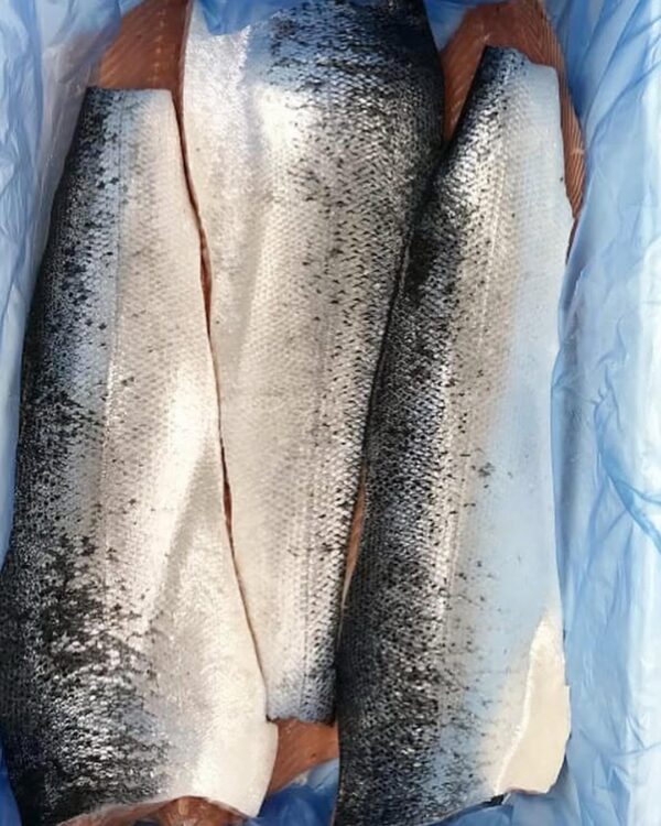 selmon fish - Image 3