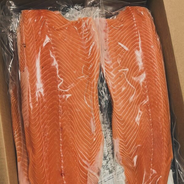 selmon fish - Image 4
